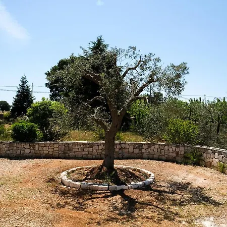 Trullo Elvira & Luigi Vakantiehuis